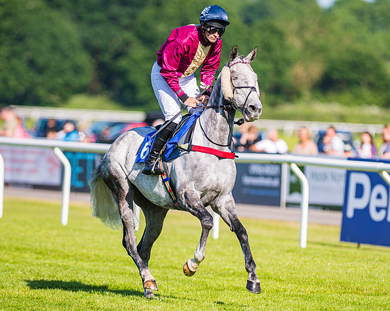 Race 1 - JFF Open Hunter Steeple Chase 2m  (41 of 202)