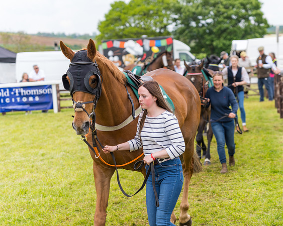 Race 7 - Veteran Horse conditions (22 of 244)