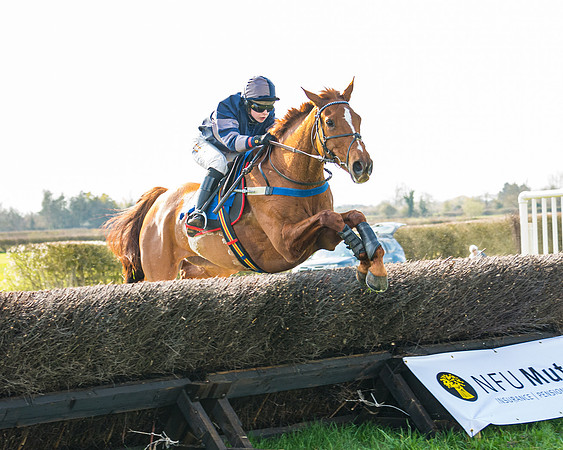 Race 4 - The Warehouse Reit Mixed Open Race  (63 of 124)