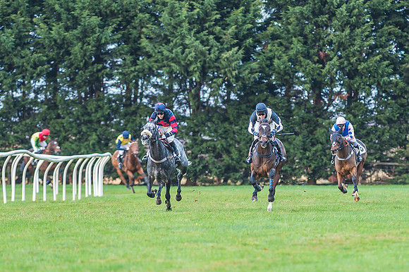 2 Mile 4 Furlong Maiden Race -22