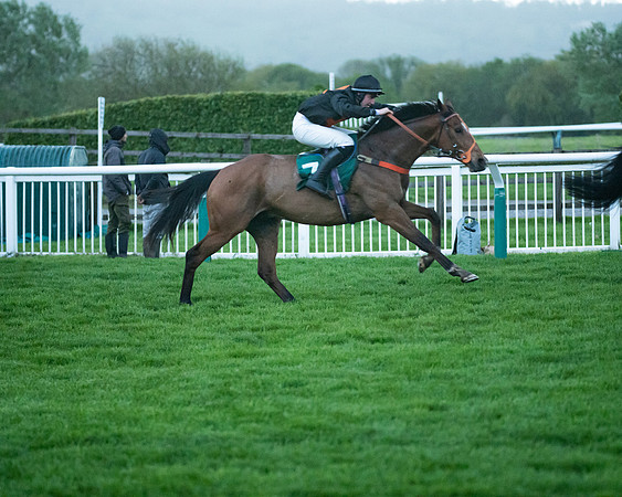 Race 7 - Gloucester Hussars Open  (86 of 154)