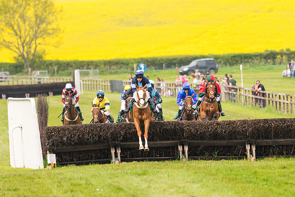 Race 2 - Owner-Trainer Conditions  (102 of 208)