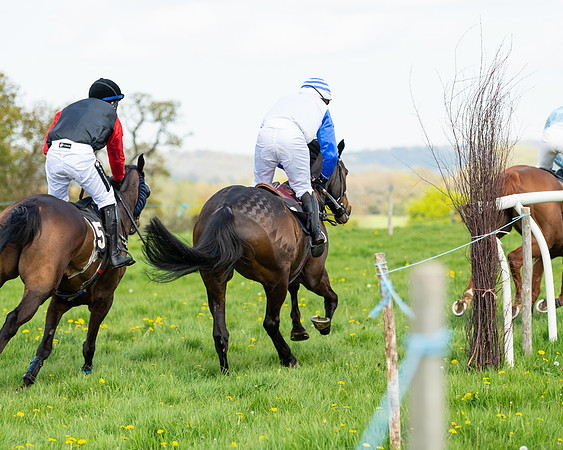 Race 2 - Veteran Horse  (77 of 82)