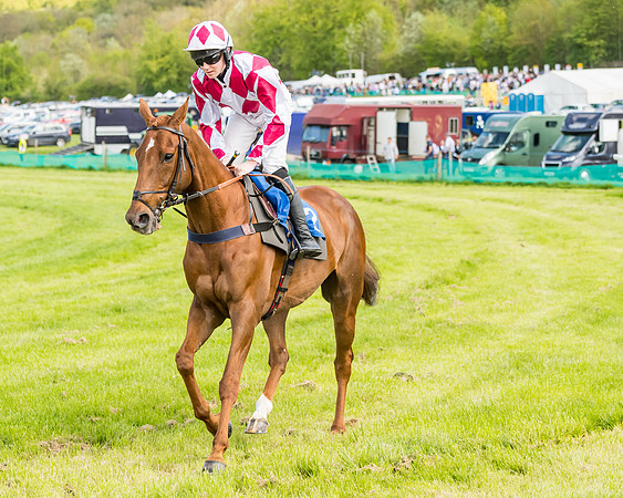 Race 2 - The Restricted Race  (29 of 122)