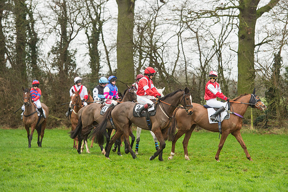 Race 5 - Ladies Open Race (31 of 119).jpg
