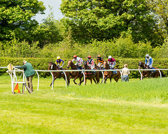 Race 1 - The Condiitions race (44 of 123)