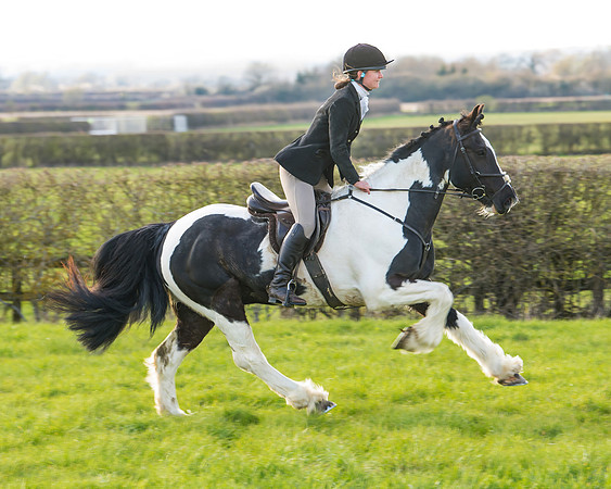 Side Saddle dash  (109 of 170)