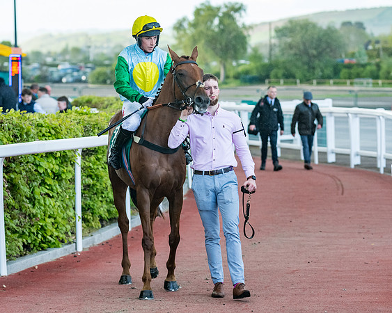 Race 5 - Mares Open  (66 of 329)