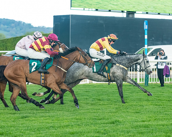 Race 5 - Mares Open  (146 of 329)