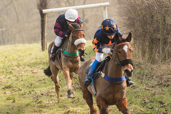 Pony Race 2 -  (23 of 32).jpg