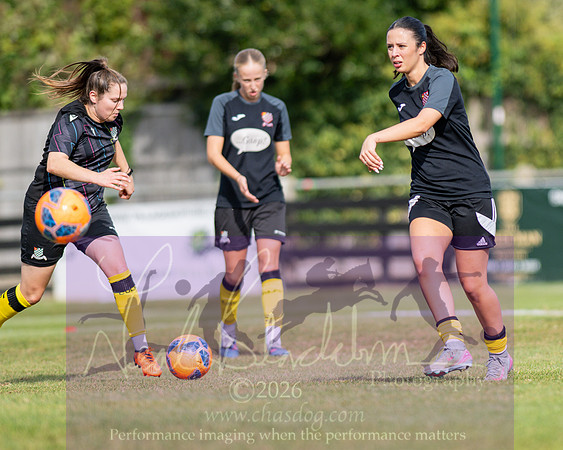 Royston Town 3 v 2 Chesham United (9 of 496)