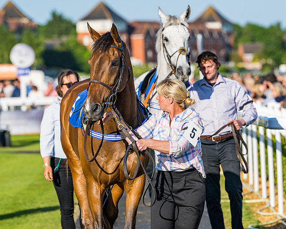 Race 4 - Foxhunters Championship (21 of 175)