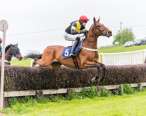 Race 2 - Five and Over restricted (44 of 136)