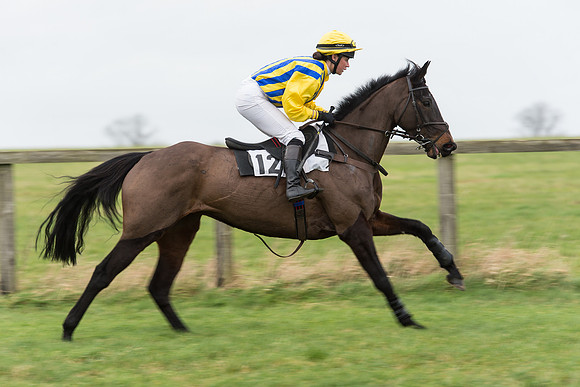 Race 7 - Open Maiden (62 of 131).jpg