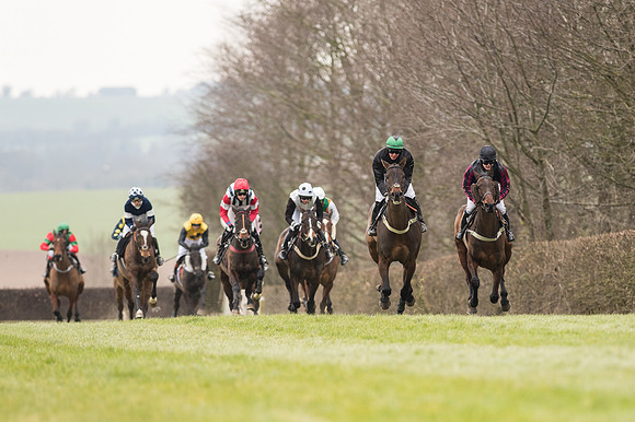 Race 2 - PPORA Novice riders  (81 of 186).jpg