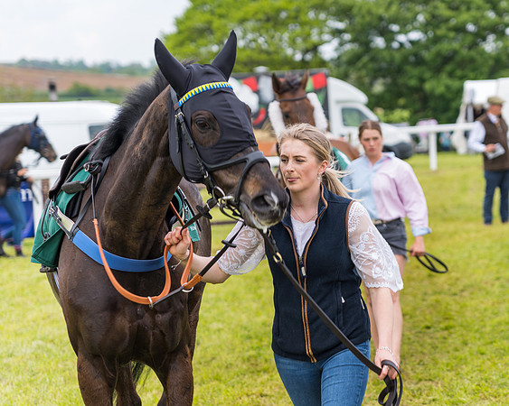 Race 7 - Veteran Horse conditions (4 of 244)