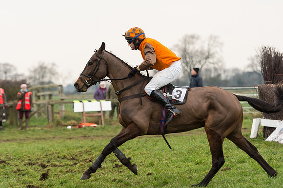 Race 6 - Open Maiden Div 2 (89 of 97).jpg