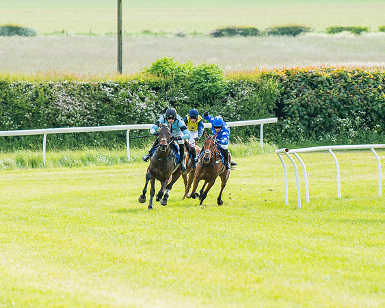 Race 6 - Open Maiden (211 of 346)
