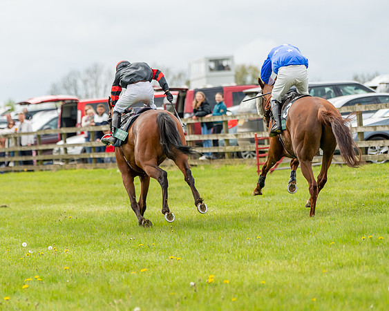 Race 2 - ROR and veteran Horse Conditions race (56 of 77)