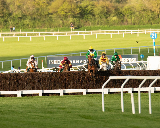 Race 5 - Mares Open  (93 of 329)