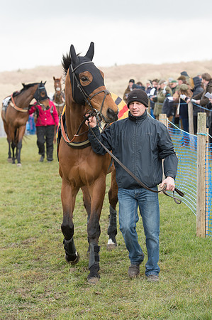 Race 1 - Div 2 - Young Horse Maiden (14 of 122).jpg