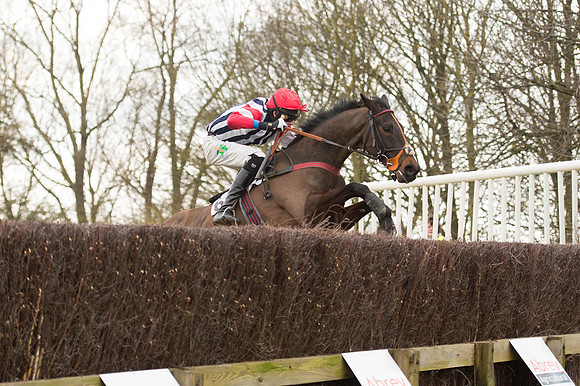Race 2 - PPORA Novice riders  (142 of 186).jpg