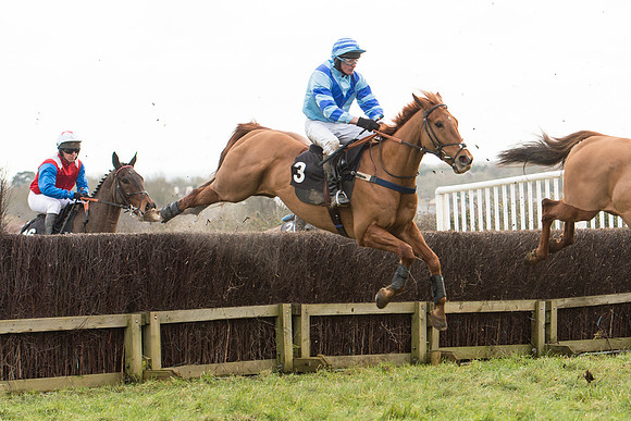 Race 5 - 2M 4F Conditions (41 of 96).jpg