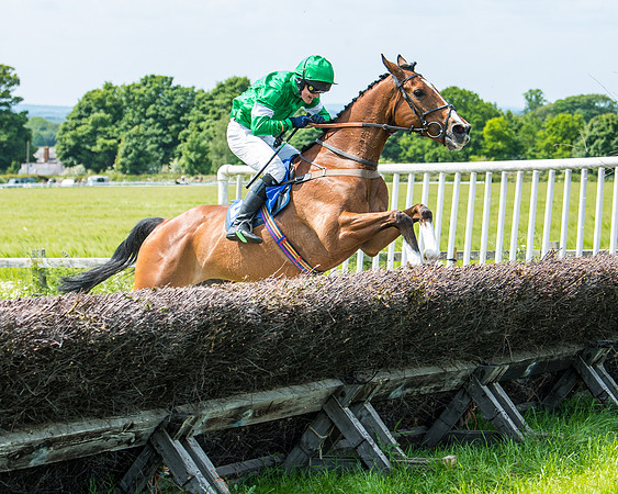 Race 1 - The Little Red owner Trainer conditions (263 of 345)