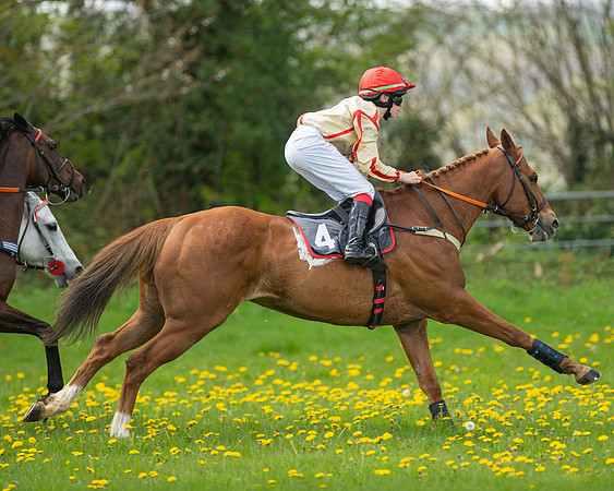 Ponies and Side saddle (44 of 69)