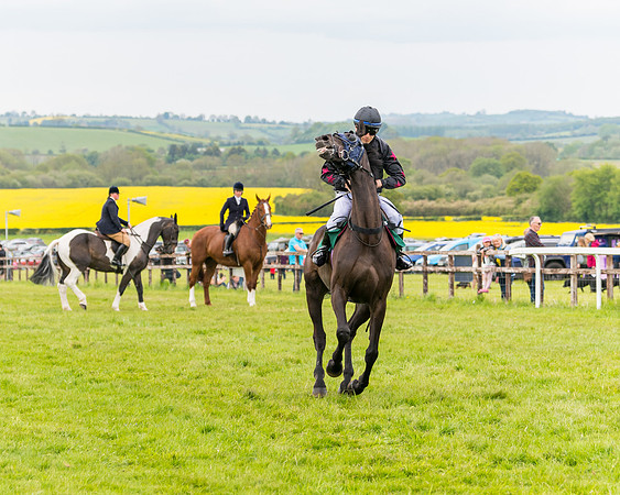 Race 7 - Veteran Horse conditions (60 of 244)