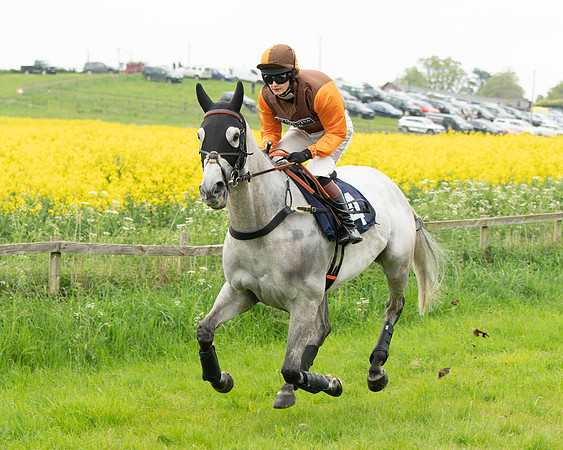 Race 2 - Five and Over restricted (28 of 136)