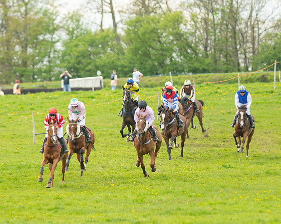 Race 5 - Open Maiden  (8 of 89)