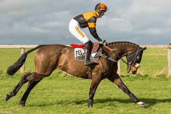 Race 2 - Young Horse Maiden (25 of 110).jpg