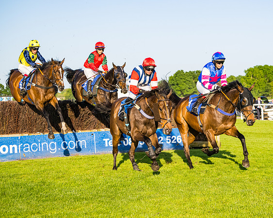 Race 5 - Whitw Swan Handicap (9 of 67)