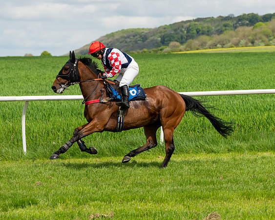 Race 1 - The Condiitions race (37 of 123)