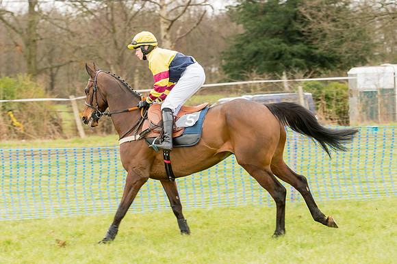 Race 2 - Novice and Veterans   (19 of 101).jpg