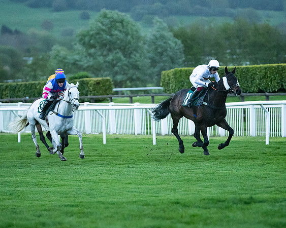 Race 7 - Gloucester Hussars Open  (48 of 154)