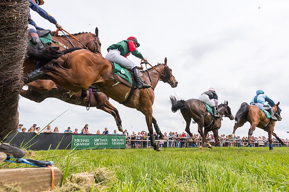 Race 2 - Owner-Trainer Conditions  (95 of 208)