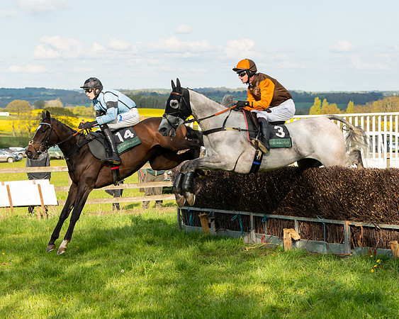 Race 7 - Maiden  (71 of 113)
