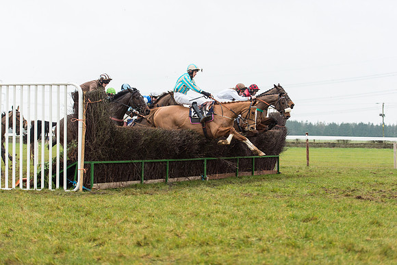 Race 6 - Open Maiden Race Div 1  (55 of 90).jpg