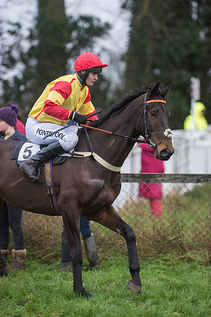 Race 8 - Young Horse Maiden  (13 of 85).jpg