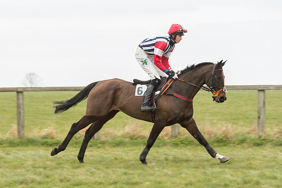 Race 2 - PPORA Novice riders  (35 of 186).jpg