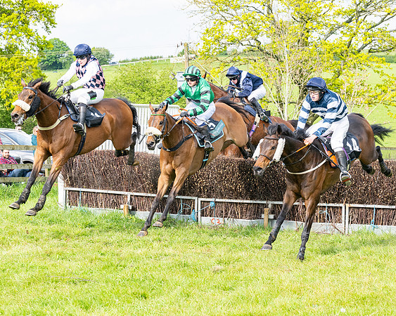 Race 5  - Novice riders (152 of 188)