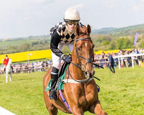 Race 4 - PPORA Novice Riders  (43 of 203)