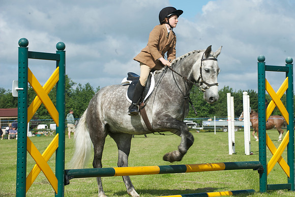 SOHS PC Summer Show at BCA 17th June 2012