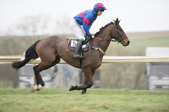 Race 1 - Novice Riders (6 of 86).jpg