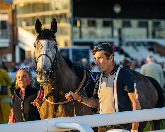 Race 7 - ITM NH Flat Race (41 of 197)