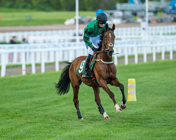 Race 6 - Gabe Mahon Open  (134 of 516)