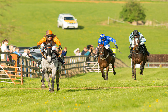Race 7 - Maiden  (86 of 113)