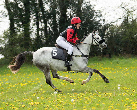 Ponies and Side saddle (22 of 69)